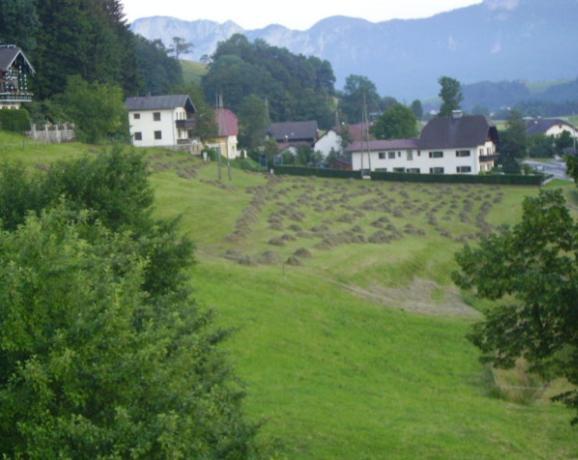 Villa Bauernhof Kasleitner Zell am Moos Exterior foto
