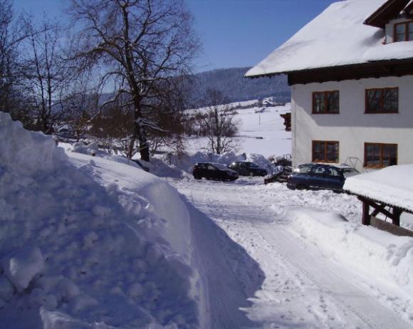 Villa Bauernhof Kasleitner Zell am Moos Exterior foto